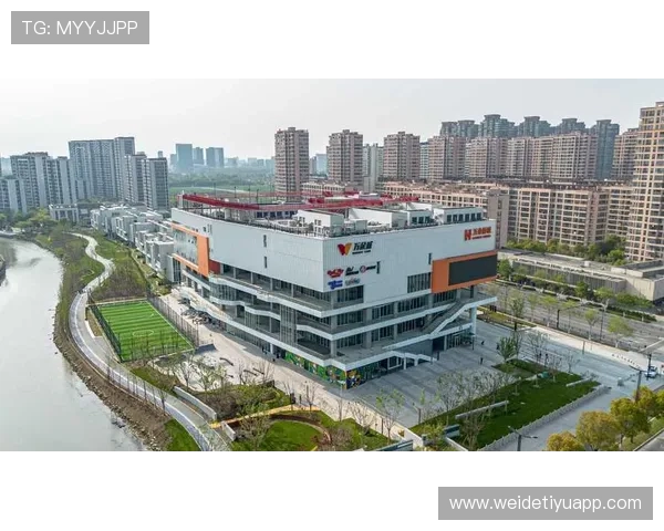 3386体育平台的优惠活动与会员福利详细解读让你享受更多专属权益